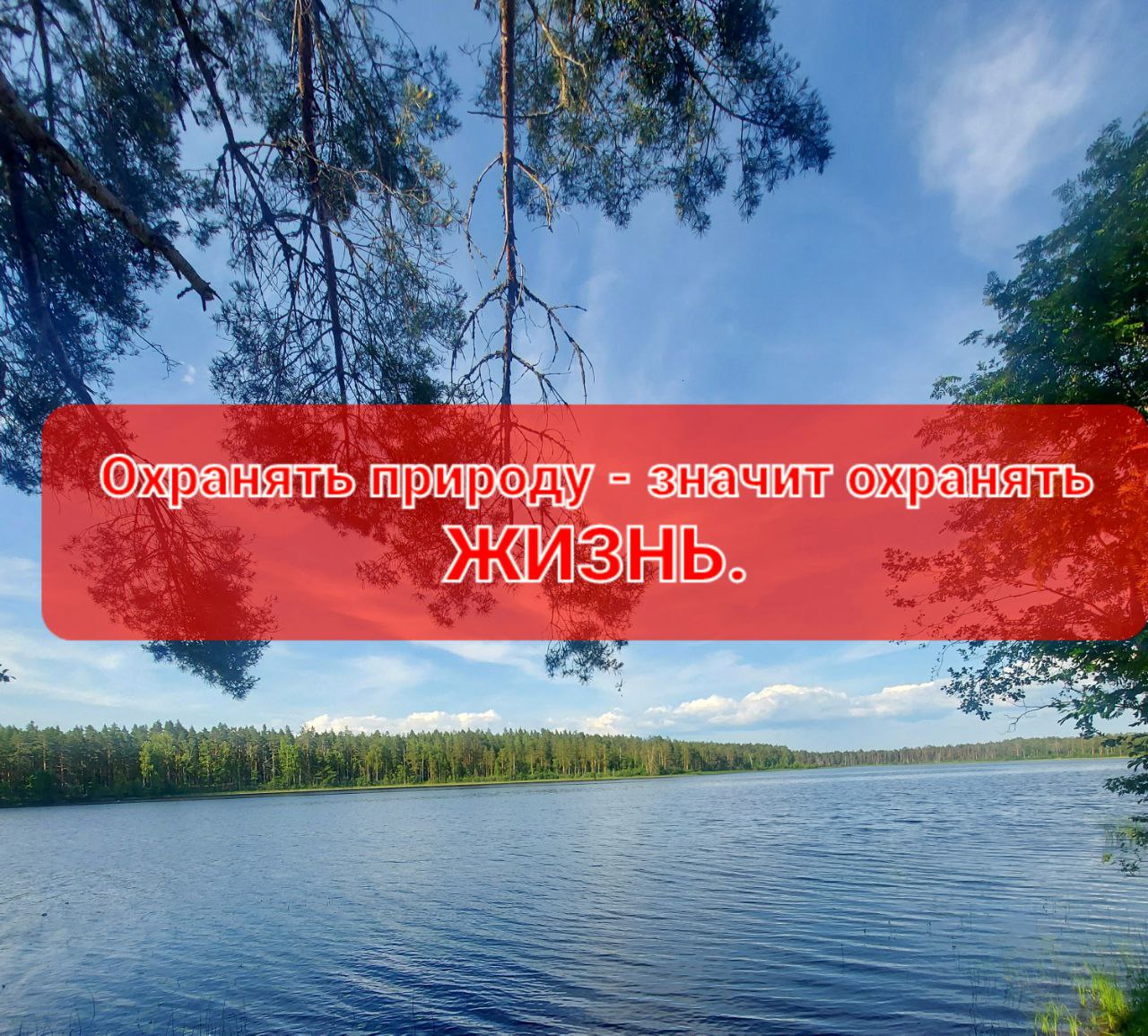 За период 2022-2023 года на территории лесного фонда Хвойнинского района было выявлено шесть несанкционированных свалок, общим объемом  более 5000 м3 .
